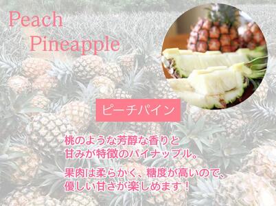 石垣島産 ピーチパイン 3個 約3kg