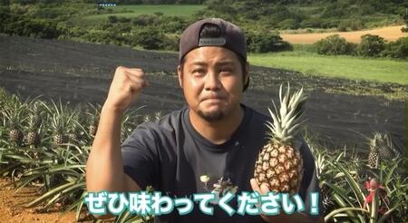 石垣島産 ピーチパイン 3個 約3kg