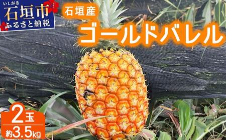 <先行予約> 農家直送!石垣島産 ゴールドバレル 2個セット 約3.5kg <2026年4月中旬発送> | パイナップル パイン 沖縄県 石垣市 石垣島 南国 フルーツ 果物 季節限定 YE-003