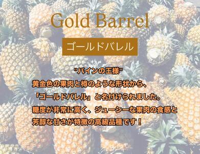 <先行予約> 農家直送!石垣島産 ゴールドバレル 2個セット 約3.5kg <2026年4月中旬発送> | パイナップル パイン 沖縄県 石垣市 石垣島 南国 フルーツ 果物 季節限定 YE-003