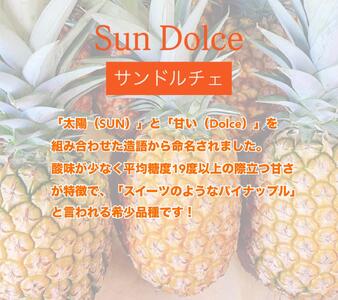 石垣島産 サンドルチェ 2個 約3.5kg