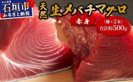 石垣島産 生メバチマグロ 極上 赤身柵 200g～300g×2本 約500g | マグロ 鮪 沖縄県 石垣市 送料無料 天然 まぐろ メバチマグロ めばちまぐろ 刺身 お刺身 冷蔵 ヤエスイ マグロ船直送