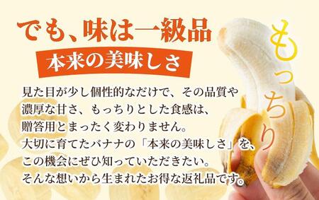 ＜訳あり＞ 大満足！石垣島産バナナ3房 ＜2026年6～10月発送＞ KP-022
