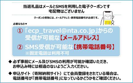 沖縄県石垣市 日本旅行 地域限定旅行クーポン 60,000円分（Eメール発行） 【 日本旅行 トラベルクーポン 納税チケット 旅行 宿泊券 ホテル 観光 旅行 旅行券 交通費 体験 宿泊 夏休み 冬休み 家族旅行 ひとり旅 カップル 夫婦 親子 石垣島旅行 】NR-008