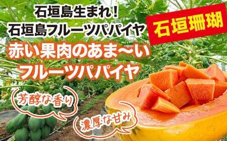 フルーツパパイヤ 3kg