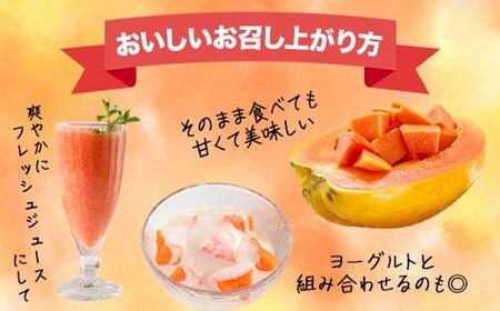 フルーツパパイヤ 3kg