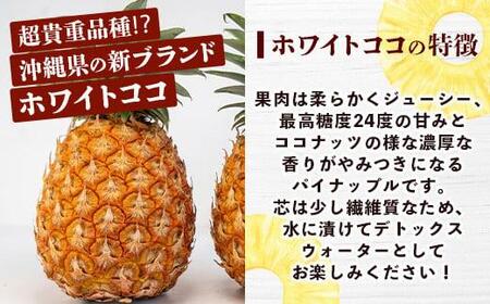 お試し用 幻のパイナップル ホワイトココ 1玉