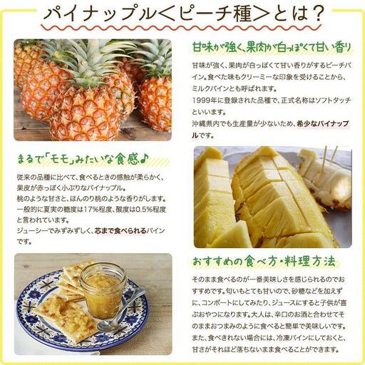 石垣島産 ピーチパイン 約2.4kg 3～4玉