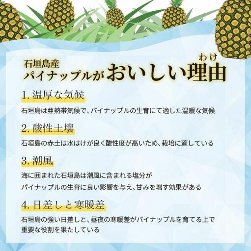 石垣島産 カットパイナップル 3種食べ比べセット900g(300g×3袋)