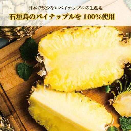 石垣島産 パイナップルジュース 500ml×2本