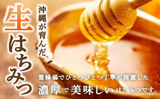石垣島産 生はちみつ 200g | 沖縄県 石垣市 石垣島 蜂蜜 ハチミツ