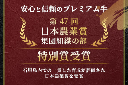 【予約受付】石垣牛ハンバーグセット100g×10個【2025年2月以降順次発送】【 沖縄 石垣 牛 黒毛 和牛 ハンバーグ 肉 シークヮーサー 冷凍 】  A-6-1