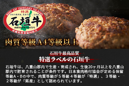 石垣牛ハンバーグ120g×10個 AB-013