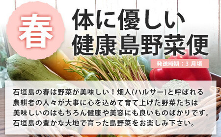 【4回/年定期配送 石垣島のタカラモノ便】 SH-3 春夏秋冬のお楽しみ(野菜 鮮魚 フルーツ 肉 牛肉 豚肉 加工 品 八重山そば かまぼこ マグロ 果物 パイン マンゴー 頒布会 セット 贈答 4ヵ月)