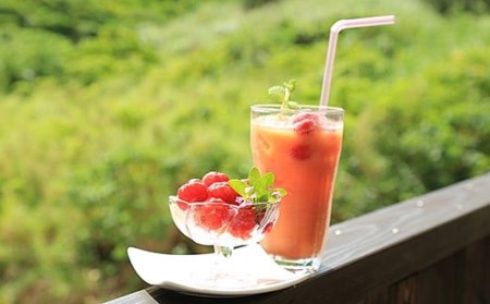 石垣島産アセロラピューレ 10パック CH-2-1