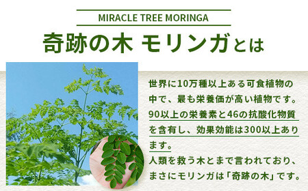  モリンガ青汁（スティックタイプ）MR-2-1