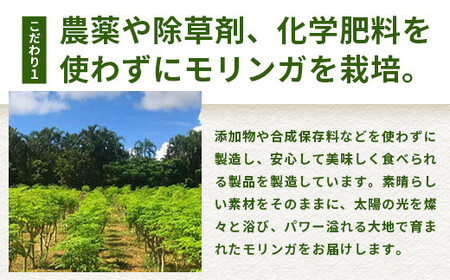  モリンガ青汁（スティックタイプ）MR-2-1