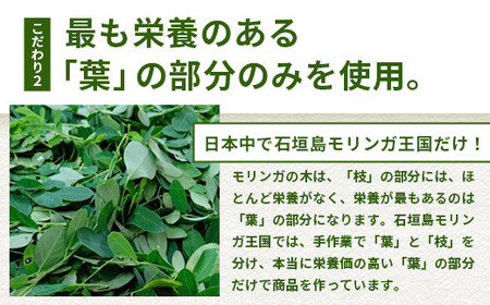  モリンガ青汁（スティックタイプ）MR-2-1