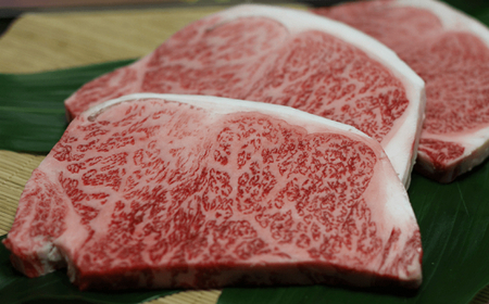 【6回定期便】石垣島きたうち牧場プレミアムビーフ 詰め合わせ 牛肉 肉 定期 肉定期便 6ヶ月 6ヵ月 しゃぶしゃぶ ステーキ 切り落し 切り落とし 焼き肉 すき焼き サーロイン モモ 赤身 AM-17