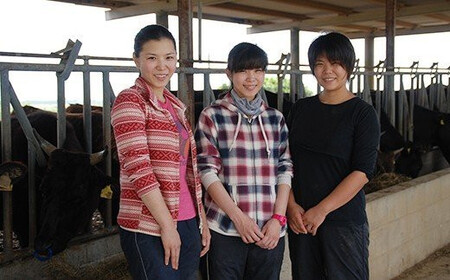 U-3 石垣牛特選サーロインステーキ300gx2枚（ゆいまーる牧場）