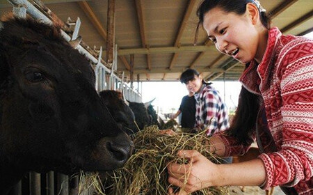 U-3 石垣牛特選サーロインステーキ300gx2枚（ゆいまーる牧場）