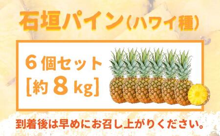 ＜先行受付＞石垣パイン ハワイ種 6個セット＜2026年7月上旬発送＞ | パイナップル パインアップル 石垣島パイン フルーツ 果物 くだもの 南国フルーツ 国産パイン MI-7-1