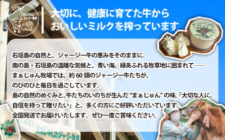 F-2 まぁじゅん牧場の チーズ&ヨーグルトセット