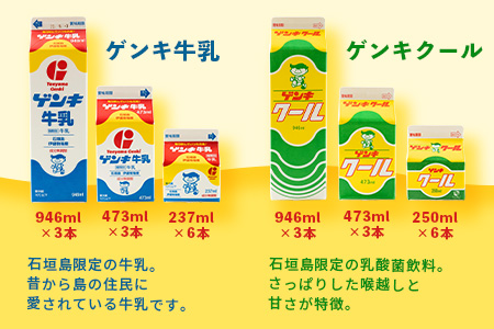 【ふるさと納税限定】八重山ゲンキ乳業 全種バリューセット【八重山ゲンキ乳業】【ゲンキ牛乳】【石垣島のソウルドリンク ゲンキクール】【ゲンキカフェ】【さんぴん茶ミルクティー】GN-4-1