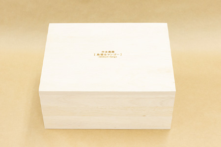 石垣の恵 眠れるマンゴー(450g～500g)2玉 専用箱入 KB-31