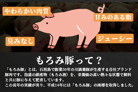 【石垣島ブランド豚】もろみ豚 豚ミンチ 250g×6袋【合計1.5kg】【もろみで育てる自慢の豚肉】簡単 便利 小分け AH-9
