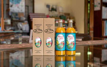 【12回定期便】マンゴージュースセット(毎月発送・12回定期便) W-11