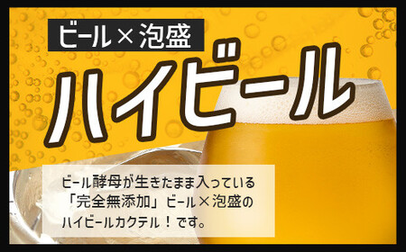 V-26 石垣島ハイビール 24本セット