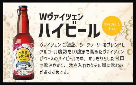 V-25 石垣島ハイビール 12本セット