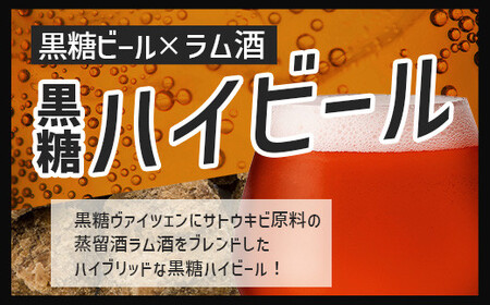 V-25 石垣島ハイビール 12本セット