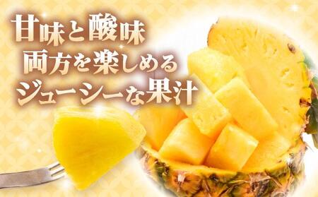 ＜先行予約＞ ハワイ種 パイナップル 4玉 ＜2026年6月発送＞ | 沖縄県 石垣市 石垣島産 パイン パイナップル ハワイ種パイナップル ZH-16