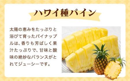 ＜先行予約＞ ハワイ種 パイナップル 4玉 ＜2026年6月発送＞ | 沖縄県 石垣市 石垣島産 パイン パイナップル ハワイ種パイナップル ZH-16