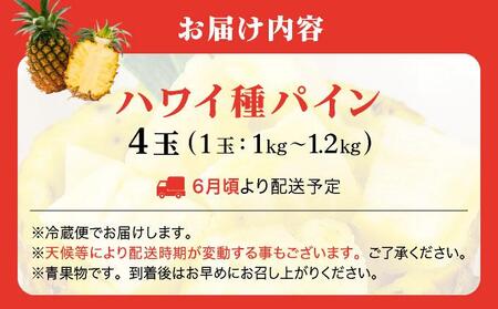 ＜先行予約＞ ハワイ種 パイナップル 4玉 ＜2026年6月発送＞ | 沖縄県 石垣市 石垣島産 パイン パイナップル ハワイ種パイナップル ZH-16