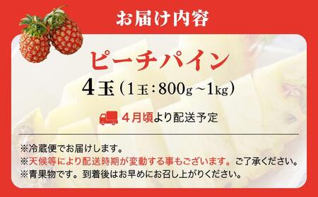 ＜先行予約＞ ピーチパイン 4玉 ＜2026年4月発送＞ | 沖縄県 石垣市 石垣島産 パイン パイナップル ZH-017