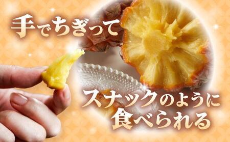 ＜先行予約＞ スナックパイン 4玉 ＜2026年4月発送＞ | 沖縄県 石垣市 石垣島産 パイン パイナップル ZH-018