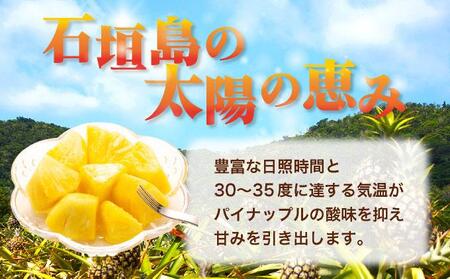 ＜先行予約＞ スナックパイン 4玉 ＜2026年4月発送＞ | 沖縄県 石垣市 石垣島産 パイン パイナップル ZH-018
