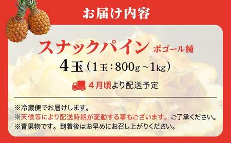 ＜先行予約＞ スナックパイン 4玉 ＜2026年4月発送＞ | 沖縄県 石垣市 石垣島産 パイン パイナップル ZH-018