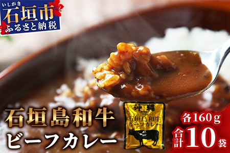 石垣島和牛ビーフカレー 160g×10袋【合計1.6kg】お土産にも大人気のご当地カレー【レトルトで簡単・便利】KB-4-2