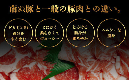 石垣島産 やえやまファームのアグ―豚（南ぬ豚）焼肉セット600g E-23