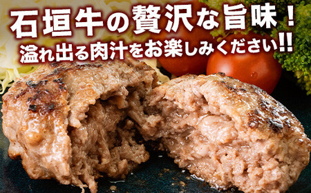 やえやまファームの石垣牛ハンバーグ 6個セット E-27