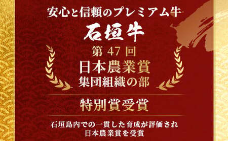 やえやまファームの石垣牛ハンバーグ 6個セット E-27