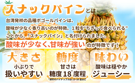 【先行予約】《2026年5月以降発送》石垣島産・スナックパイン、ずっしりの「大玉」3個入り SI-26-1