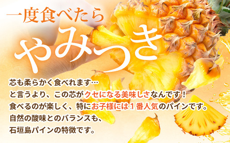 【先行予約】《2026年5月以降発送》石垣島産・スナックパイン、ずっしりの「大玉」3個入り SI-26-1