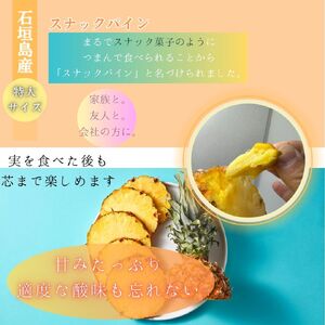 石垣島産・スナックパイン、ずっしりの「大玉」6個入り SI-27