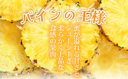 【先行予約】《2026年7月以降発送》石垣島産 ゴールドバレルパイン 「訳あり」大小混合セット SI-007