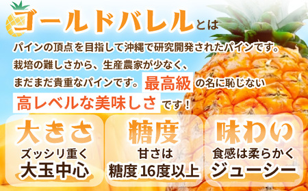 【先行予約】《2026年7月以降発送》石垣島産 ゴールドバレルパイン 「訳あり」大小混合セット SI-007